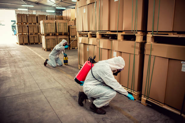 Professional Pest Control in Fort Lee, VA