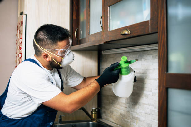 Best Wasp Removal Services  in Fort Lee, VA