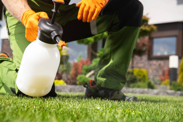Best Pest Control for Homes  in Fort Lee, VA