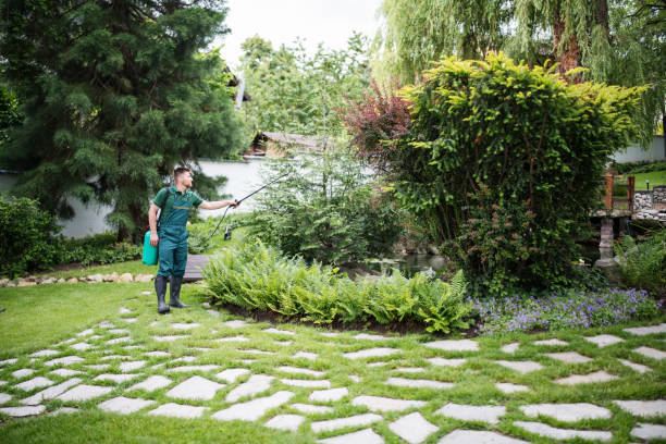 Best Best Pest Control Companies  in Fort Lee, VA