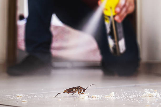 Best Mosquito Control Services  in Fort Lee, VA